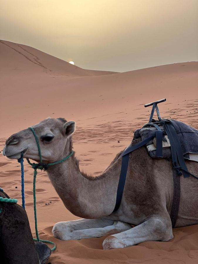 Riad Aicha & Camel Trekking Merzouga Εξωτερικό φωτογραφία