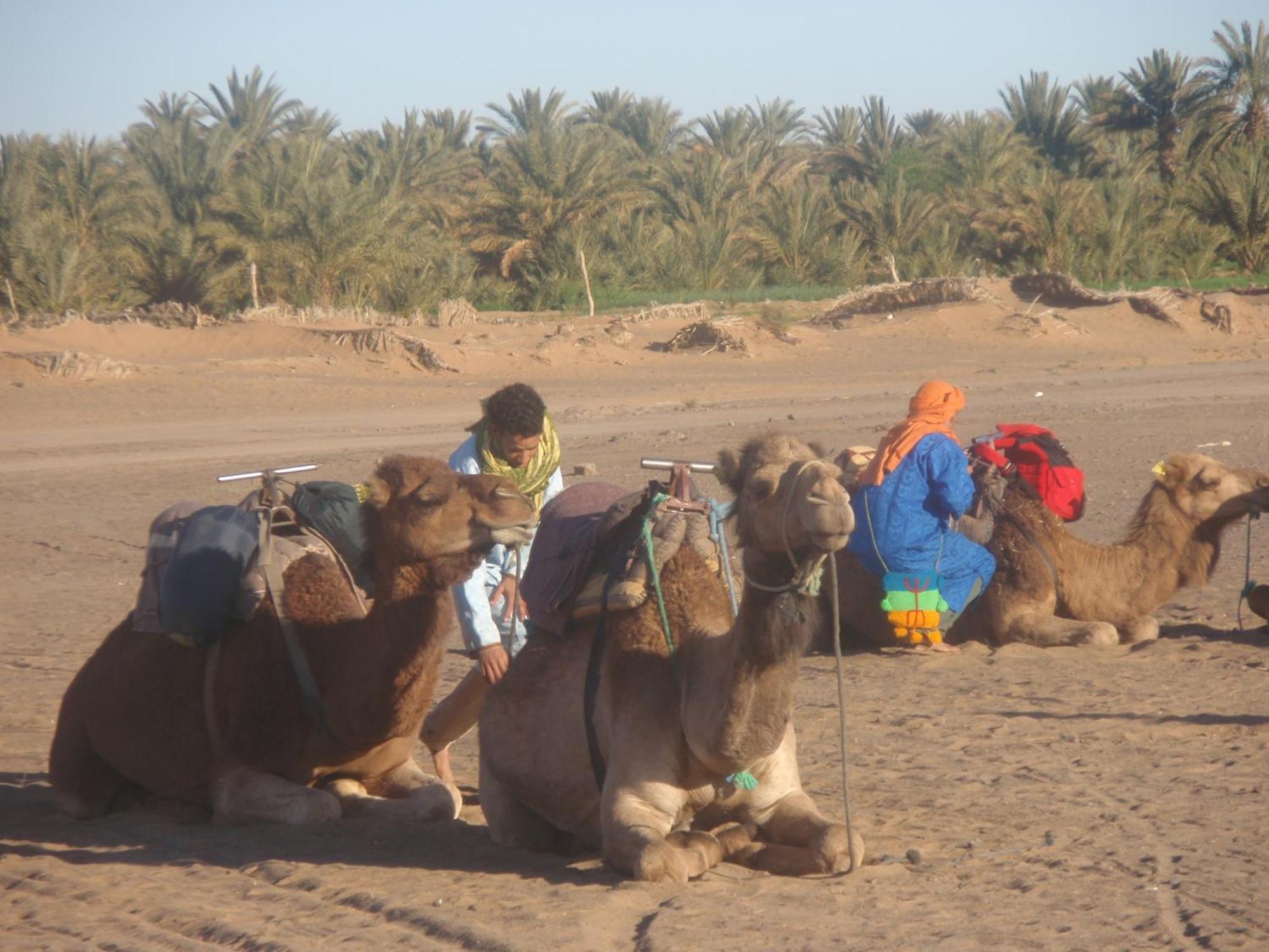 Riad Aicha & Camel Trekking Ξενοδοχείο Merzouga Εξωτερικό φωτογραφία