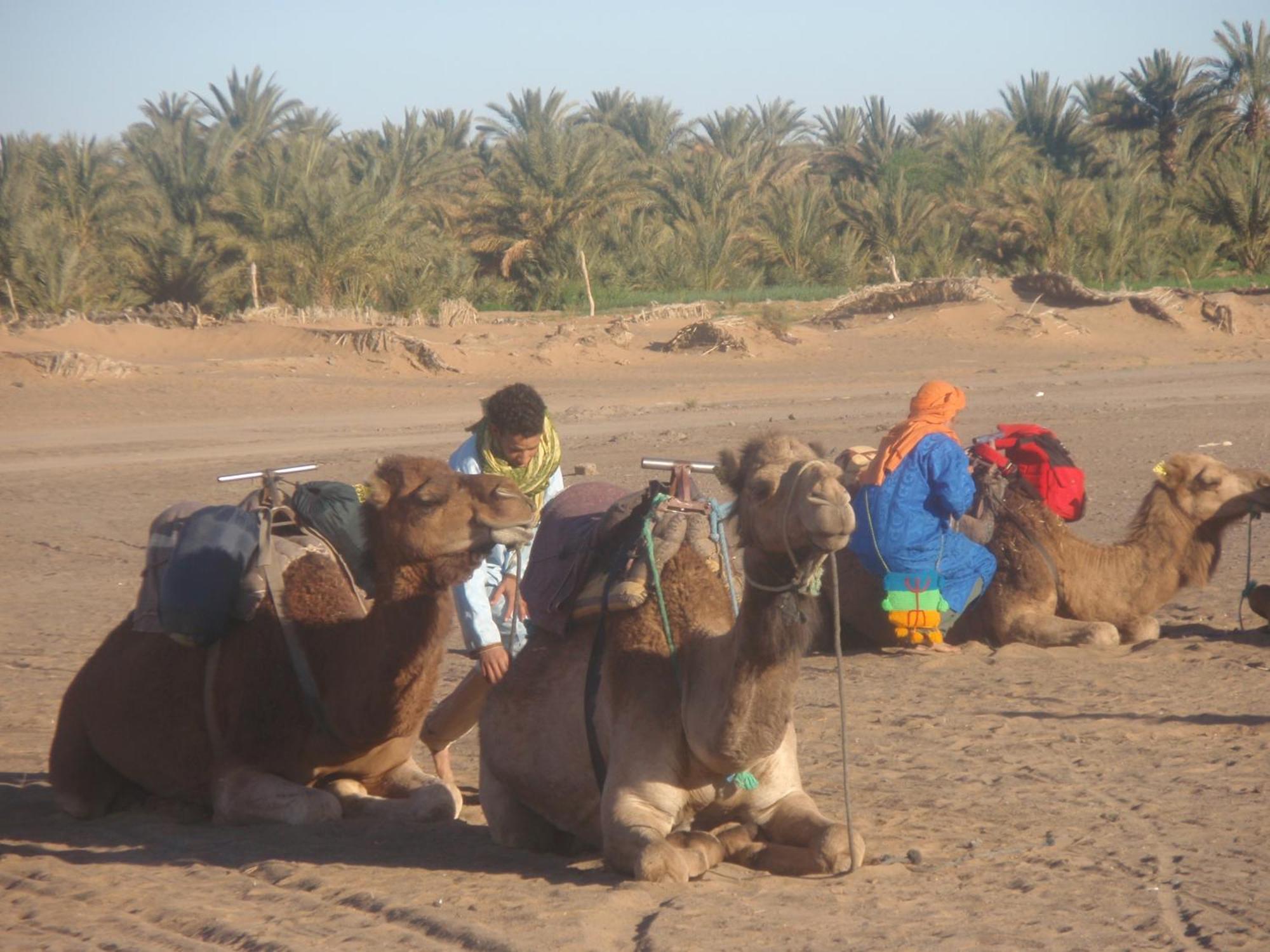 Riad Aicha & Camel Trekking Merzouga Εξωτερικό φωτογραφία