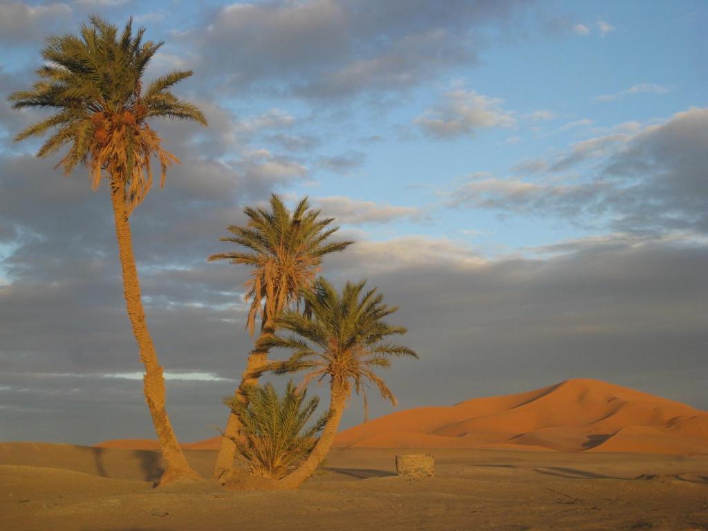 Riad Aicha & Camel Trekking Ξενοδοχείο Merzouga Εξωτερικό φωτογραφία