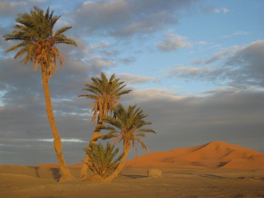 Riad Aicha & Camel Trekking Merzouga Εξωτερικό φωτογραφία